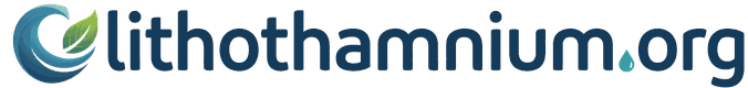 Lithothamnium.org Logo